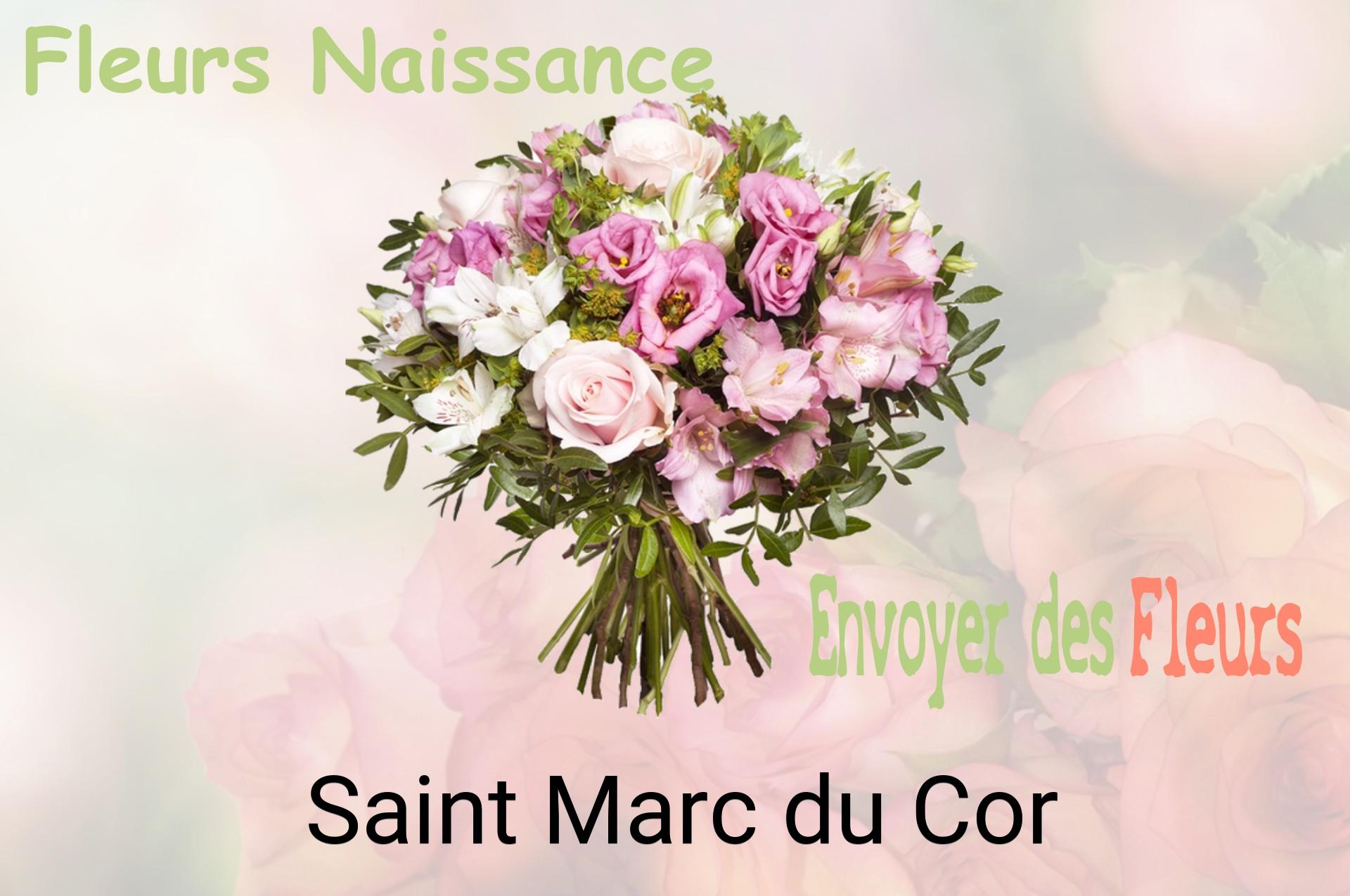 Bouquet de fleurs de naissance livré à Saint-Marc-du-Cor